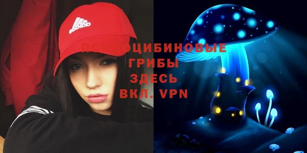 молекула духа Балахна