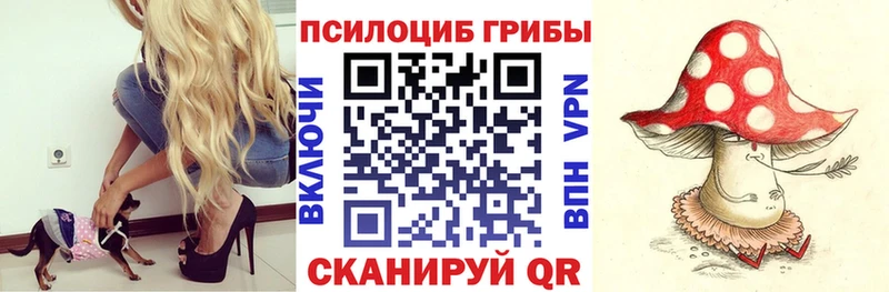 Галлюциногенные грибы Magic Shrooms Сафоново